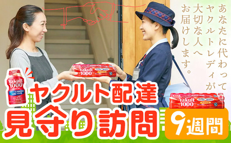 ヤクルト 1000 ヤクルト配達 見守り 訪問サービス 流山市内限定 9週間 (計63本) 1セット 7本入り 千葉県ヤクルト販売株式会社《30日以内に出荷予定(土日祝除く)》千葉県 流山市 送料無料 Yakult1000 家族 友人 みまもり 訪問