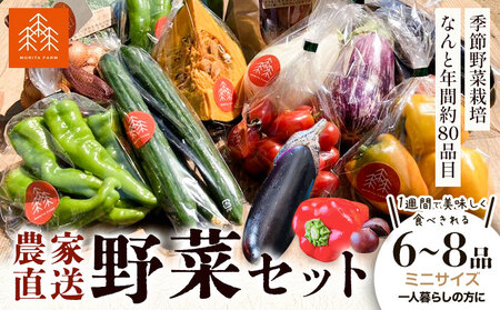 新鮮 野菜セット ミニサイズ 6～8品 | 野菜セット