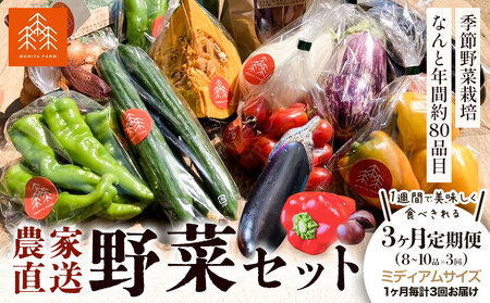 【3か月定期便】新鮮 野菜セット ミディアムサイズ 8～10品 | 野菜セット