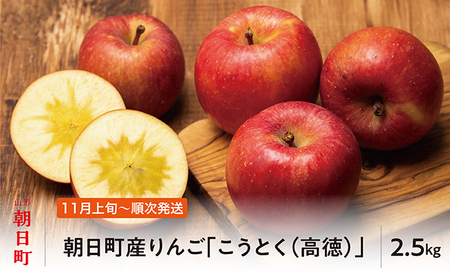 りんご こうとく 高徳 秀品 2.5kg 【11月上旬発送】山形県 朝日町産 山形県産 特産 果物 フルーツ リンゴ 林檎 秋