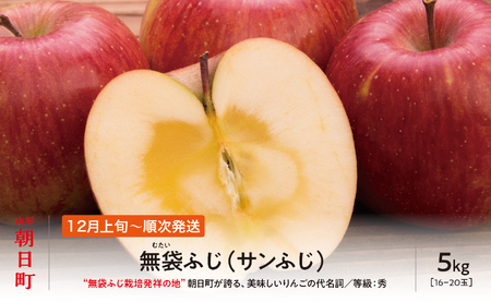 りんご 無袋ふじ 秀品 5kg 【12月上旬～下旬発送】 サンふじ 山形県 朝日町産 山形県産 特産 果物 フルーツ リンゴ 林檎 冬