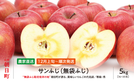＜ 先行予約 ＞ りんご サンふじ 秀 5kg 16～20玉 【2026年12月上旬発送】 農家直送 山形県 朝日町産 山形県産 特産 果物 フルーツ リンゴ 林檎 産地直送 秋 冬
