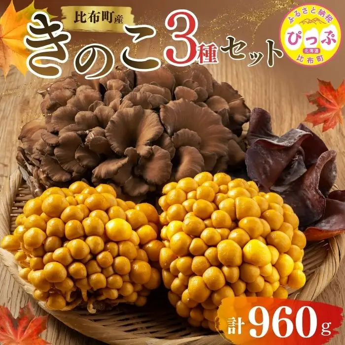 きのこ3種セット 計960g ジャンボまいたけ 500g なめこ 180g×2 きくらげ 100g【北海道きのこ品評会 最優秀賞受賞】【遠藤農産】きのこ キノコ セット 詰め合わせ 舞茸 滑子 木耳 国産 北海道産 北海道 比布町 ぴっぷ 1002-002