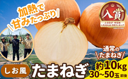 しお風玉ねぎ 約10kg　たまねぎ 玉ねぎ