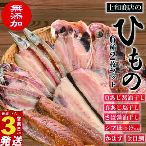 干物 6種 2枚 計12枚 セット 干物