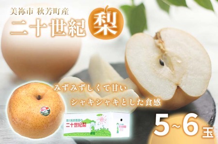 美祢市秋芳町産 二十世紀梨 （5~6玉）【先行予約：9月より発送予定】