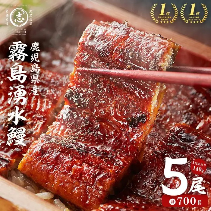 うなぎ 蒲焼 5尾 霧島湧水鰻 うなぎ (700g以上) b0-219-yy