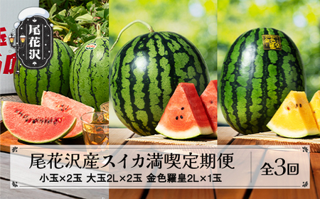 先行予約 尾花沢産スイカ満喫定期便 全3回 7月中旬～8月中旬頃発送 2026年産 令和8年産 金色羅皇 こんじきらおう 黄金 金色 黄色 すいか スイカ 西瓜 フルーツ 果物 果物定期便 定期便 食べ比べ 山形県 kb-tksux