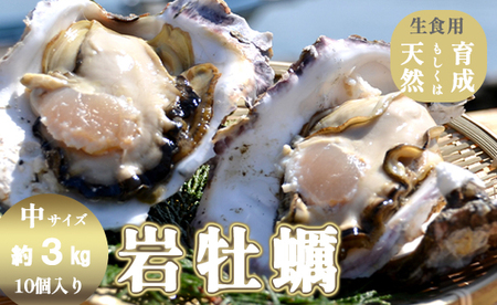 訳あり 岩がき 中サイズ 10個入 3kg前後 生食用 ： 牡蠣 殻付き牡蠣