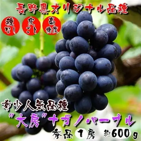 厳選!濃厚大房ナガノパープル　秀品　1房(約600g)【配送不可地域：離島】【1234909】