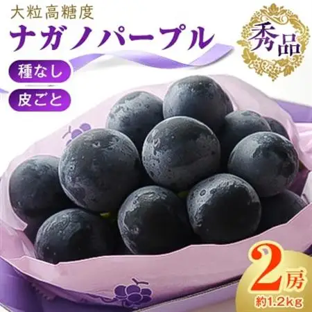 厳選!濃厚大房ナガノパープル　秀品　2房(約1.2kg)【配送不可地域：離島】【1234911】