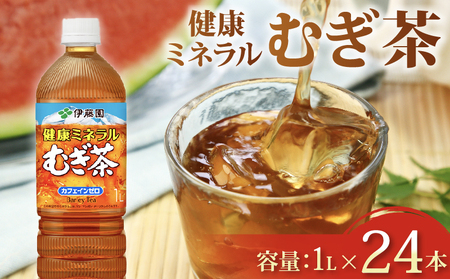 131-45　健康ミネラルむぎ茶PET1L×12本　2ケース
