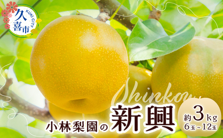 梨 新興 約3kg 6玉～12玉 梨