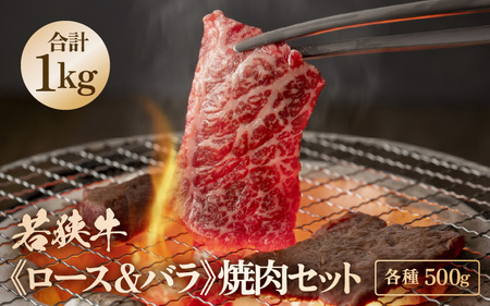 牛肉 若狭牛 焼肉セット2種 1kg（バラ 500g / ロース 500g）【牛肉 黒毛和牛 黒毛和種 黒毛 和牛 国産 カルビ 冷凍 小分け バーべキュー BBQ 焼き肉 焼肉 グルメ 父の日 母の日 敬老の日 お中元 お歳暮 ギフト 誕生日 贈り物 プレゼント キャンプ飯 お取り寄せ】 [m15-e001]