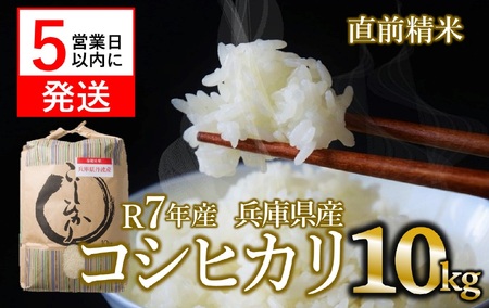 コシヒカリ 10kg 白米 令和７年産 精米 白米【スピード発送】