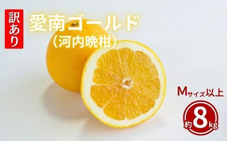訳あり 河内晩柑 Mサイズ以上 約8kg 河内晩柑
