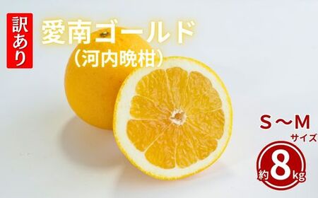 訳あり 河内晩柑 S～Mサイズ 約8kg 