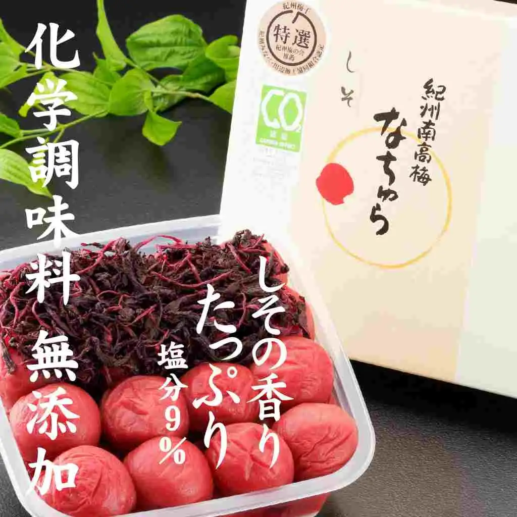 紀州産南高梅 なちゅら しそ漬 300g 塩分9％ tnht003A【tnht003A】