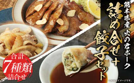 熊本県産 火の君ポークR 詰め合わせ＋火の君ポークR 使用 餃子セット