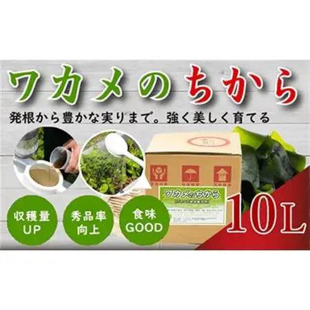 ワカメのちから　10L箱_雑貨   _【1495820】