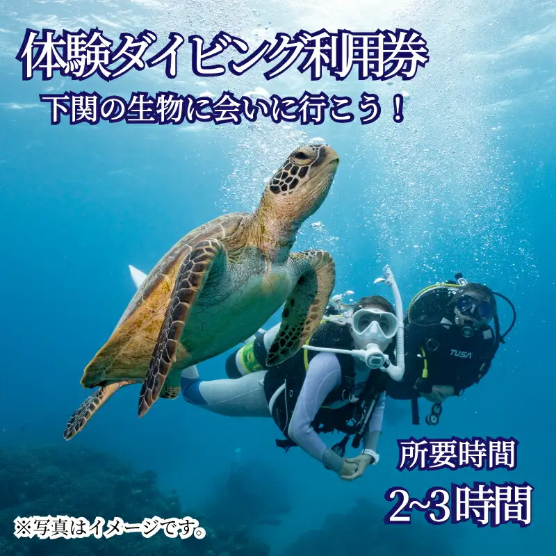 体験 ダイビング アクティビティ 利用券 チケット 1名様分 ビーチ スポーツ マリンスポーツ 下関 山口 JQ002