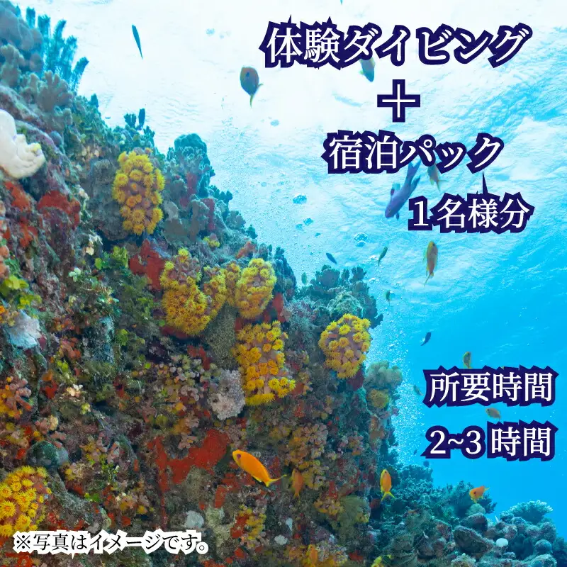 ダイビング 宿泊 体験 ビーチ スポーツ マリンスポーツ 宿泊 下関 山口 JQ003