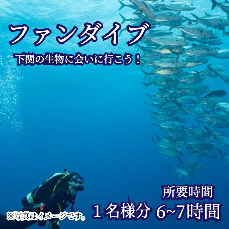 ファン ダイブ 2ダイブ 1名様分 ビーチ スポーツ マリンスポーツ アクティビティ 下関 山口 JQ004