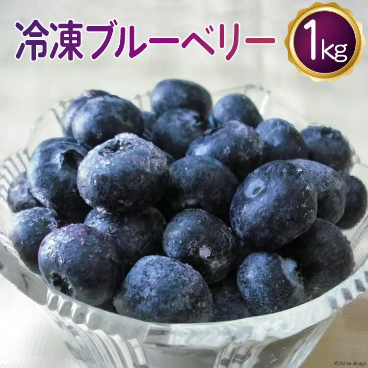 〈先行予約〉 冷凍 ブルーベリー 1kg [ノーザン・ベリーズ 北海道 砂川市 12260395]