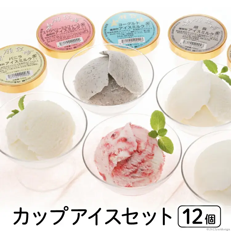 カップアイス12個セット [岩瀬牧場 北海道 砂川市 12260341] 