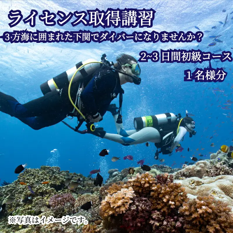 初級 スキューバダイビング ライセンス取得コース Cカード チケット マリンスポーツ 海 下関 山口 JQ001
