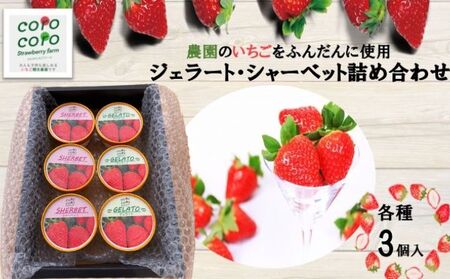 ジェラート・シャーベット詰合せ スイーツ お菓子 デザート 食後 おやつ ひんやり 