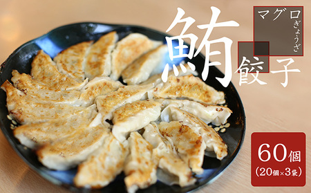 お寿司屋さんの名物 まぐろ餃子 20個×3パック ヘルシー 簡単調理 
