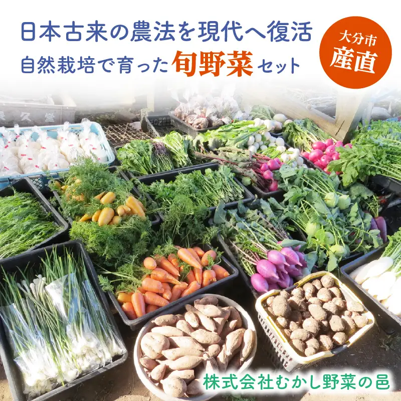  むかし野菜の邑　大分市産直　自然栽培の野菜セット F01005