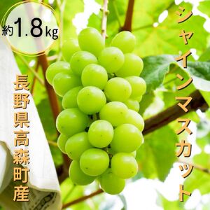 ジューシーなシャインマスカット 約1.8kg＜9月中旬より発送＞