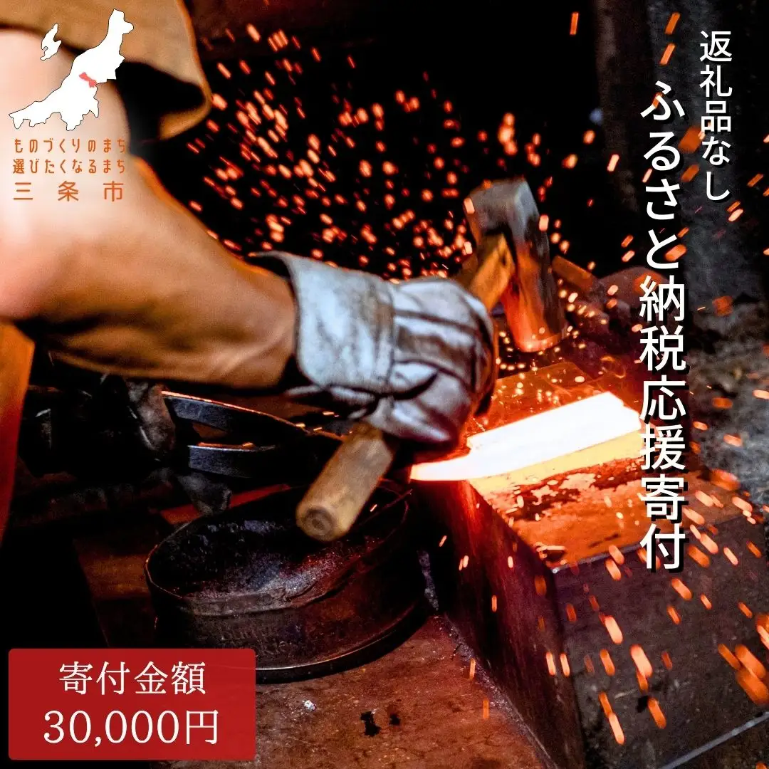 返礼品なし 寄付のみ ものづくりのまち・アウトドアのまち三条 応援受付 寄附 新潟県三条市 1口30,000円 【030S073】
