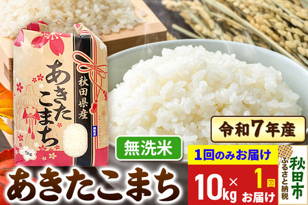 あきたこまち 10kg(5kg×2袋)  令和7年産 【1回のみお届け】【無洗米】秋田県産