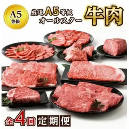 【発送月固定定期便】厳選A5等級オールスター牛肉定期便(南九州市)全4回【配送不可地域：離島】【4081818】