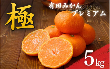 【 上位20％の高糖度のものだけを選別 】 極 有田みかんプレミアム 約5kg【光センサー 高糖度選別品】2S～Lサイズ 有機質肥料100% みかん ミカン 蜜柑 柑橘 温州みかん フルーツ 果物 くだもの 柑橘 人気 農家直送 甘い 和歌山県 北山村 ※2026年11月～2027年1月に順次発送予定 ※北海道・沖縄・離島への配送不可【nuk155G】