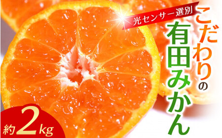 有田みかん 約2kg 【ご家庭用】【1月発送】みかん【nuk159-01】