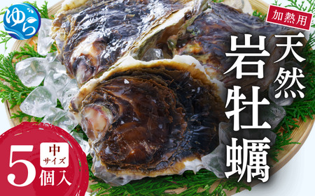 天然岩牡蠣（加熱食用）中サイズ5個入（2kg以上）【skmn003】