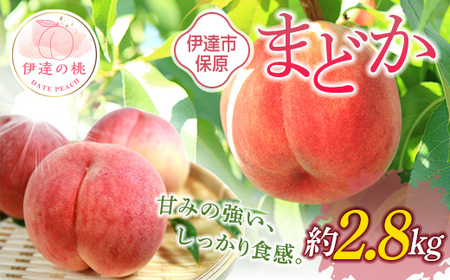 【2026年出荷分先行予約】福島県産 まどか 約2.8kg (8～12玉) あかい果樹園 大玉 固め 伊達の桃 桃 フルーツ 果物 もも モモ momo F20C-898