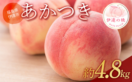【2026年出荷分先行予約】福島県産 あかつき 約4.8㎏ (12～18玉) あかい果樹園 伊達の桃 桃 フルーツ 果物 もも モモ momo F20C-906