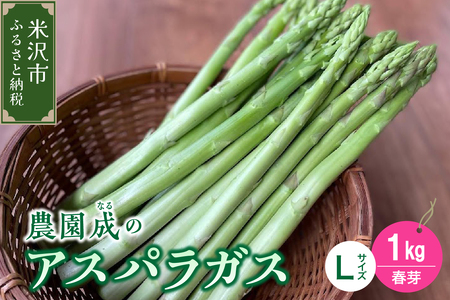 《 先行予約 》【 令和8年産 春芽 】 アスパラガス L 1kg （ 太物 L以上 ）〔 2026年5月中旬頃 ～ 発送予定 〕 アスパラ 野菜 農園成 産地直送 農家直送 2026年産