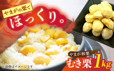 先行予約 むき栗 約1kg（約250g×4pc） 【すみれファーム】[ZEP060]