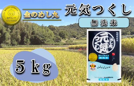CE-067_令和７年米〈無洗米〉　金のめし丸元気つくし 5Kg（1袋）