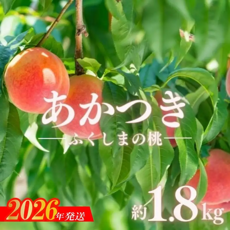 No.2885もも「あかつき」約1.8kg【2026年発送】