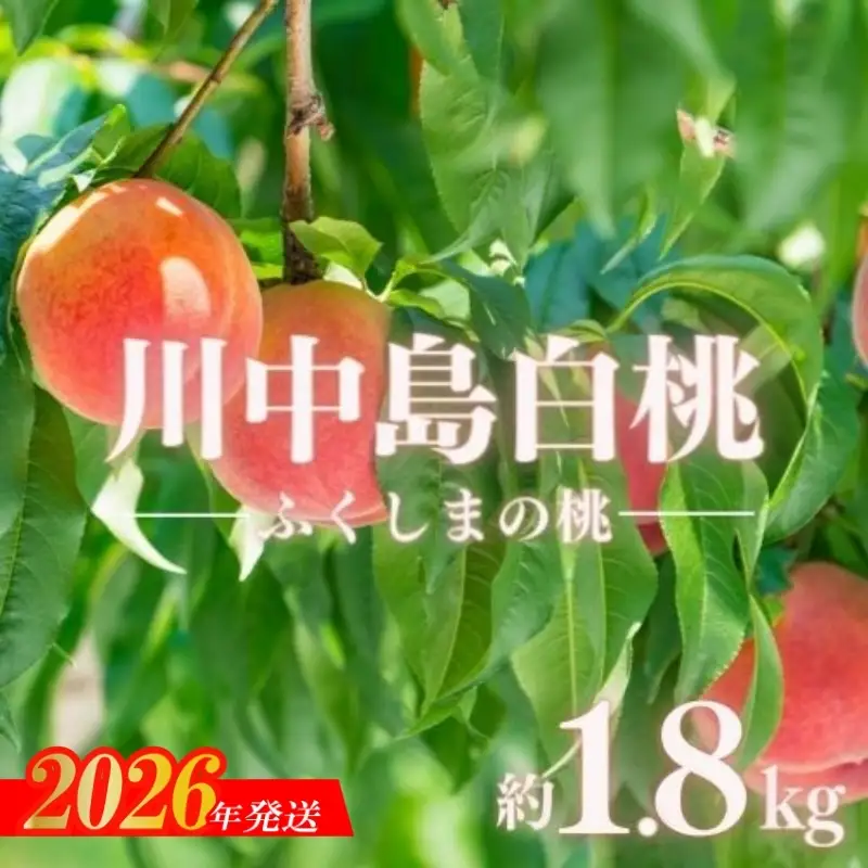 No.2886もも「川中島白桃」約1.8kg【2026年発送】