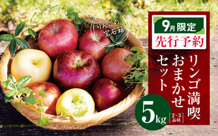 【2026年9月限定 先行予約】 訳あり リンゴ満喫おまかせセット 約 5kg | ヤマモ農園