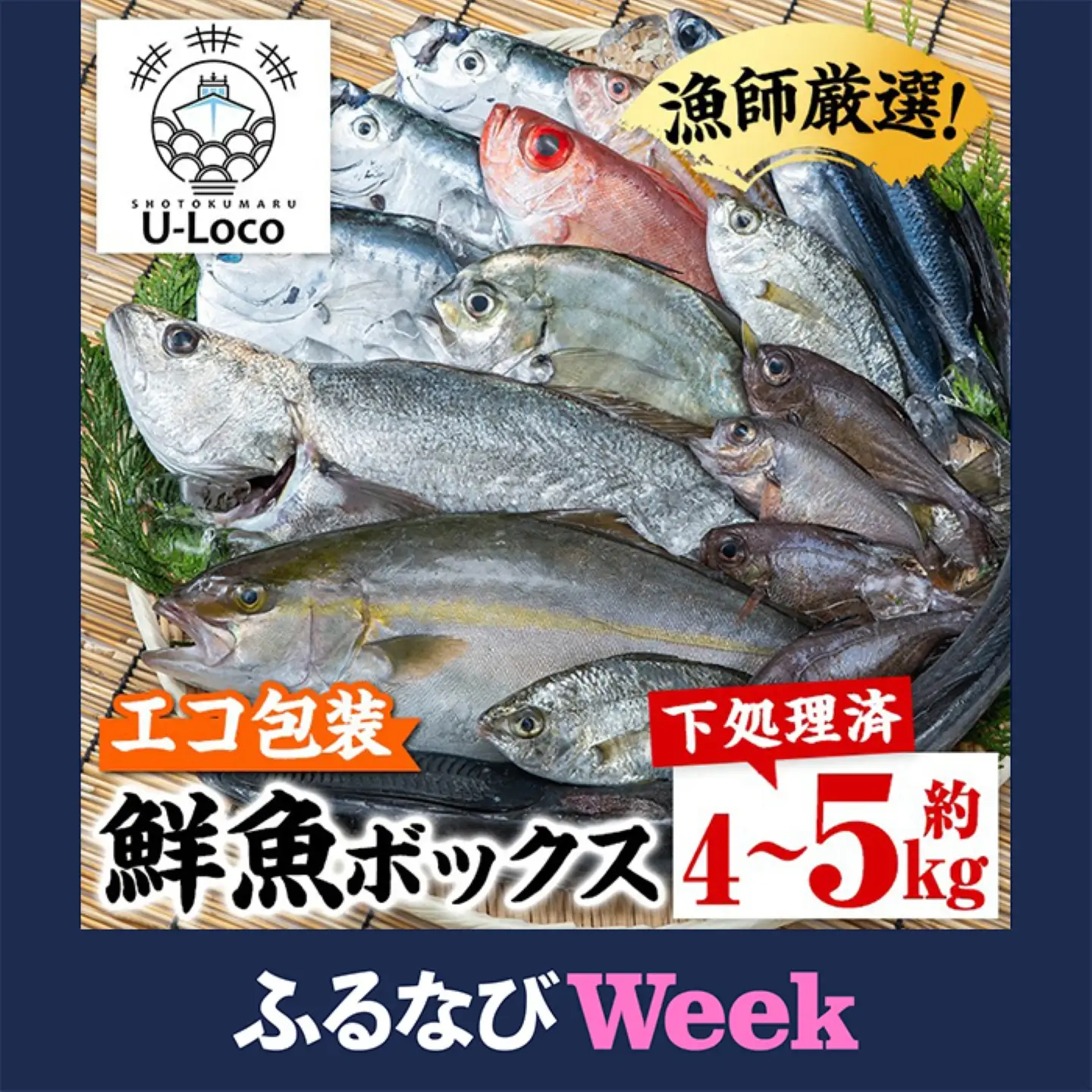 【ふるなびWEEK対象】【A78004】ロコフィッシュ 地魚 下処理済 鮮魚 ボックス 約4～5kg エコ包装 鮮魚BOX 【昌徳丸】