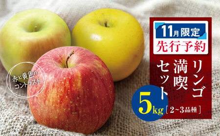 【2026年11月限定 先行予約】 訳あり リンゴ満喫おまかせセット 約 5kg | ヤマモ農園